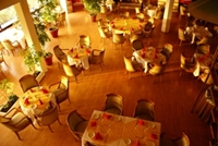 Chateau Linza, Tirana